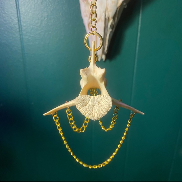 SOLD - Deer Vertebrae Bone Golden Chain Decoration - Picture 6 of 10